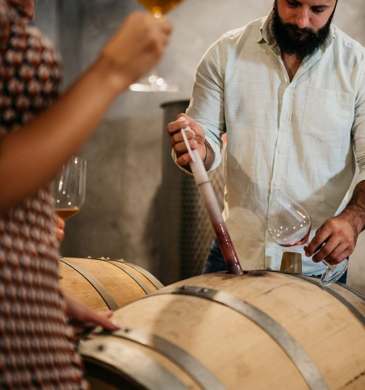 Winemaker showing up to his friends in his wine cellar