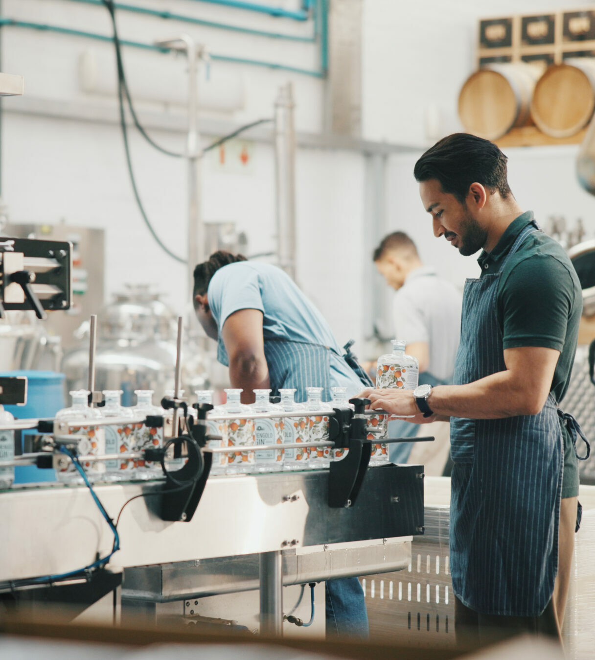 Production, people or bottling on conveyor belt in distillery for alcohol manufacturing, packaging or inpsection. Assembly line, man or quality control by machine for beverage distribution in factory